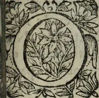 An illustration from La doctrine des murs (1685)