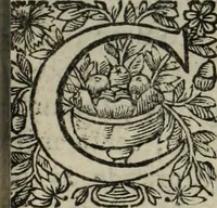 Picture 207 of 257 from La doctrine des murs (1685), leaf 348
