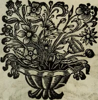 Picture 228 of 257 from La doctrine des murs (1685), leaf 382