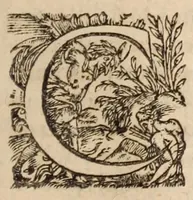 Picture 2 of 2 from La doctrine des Vaudois (1618), leaf 17
