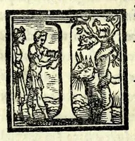 An illustration from La dote : comedia (1550)