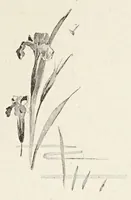 An illustration from La Dryade, revue antique (1903)