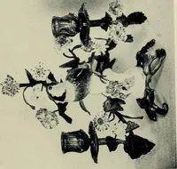 Picture 82 of 85 from Lady Charlotte Schreiber's journals : confidences of a collector of ceramics & antiques throughout Britain, France, Holland, Belgium, Spain, Portugal, Turkey, Austria & Germany from the year 1869 to 1885 (1911), leaf 628