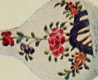 Picture 13 of 78 from Lady Charlotte Schreiber's journals : confidences of a collector of ceramics & antiques throughout Britain, France, Holland, Belgium, Spain, Portugal, Turkey, Austria & Germany from the year 1869 to 1885 (1911), leaf 60