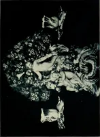 Picture 20 of 56 from Lady Charlotte Schreiber's journals : confidences of a collector of ceramics & antiques throughout Britain, France, Holland, Belgium, Spain, Portugal, Turkey, Austria & Germany from the year 1869 to 1885 (1911), leaf 262