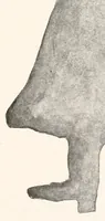 An illustration from Lady Hollyhock and her friends : a book of nature dolls and others (1917)