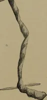 An illustration from Lady Hollyhock and her friends; a book of nature dolls and others (1906)