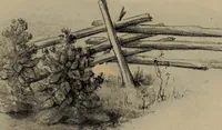 An illustration from Lady Hollyhock and her friends; a book of nature dolls and others (1906)