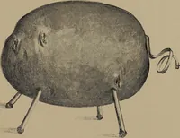 An illustration from Lady Hollyhock and her friends; a book of nature dolls and others (1906)