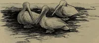 An illustration from Lady Hollyhock and her friends; a book of nature dolls and others (1906)