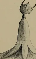 An illustration from Lady Hollyhock and her friends; a book of nature dolls and others (1906)