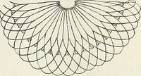 An illustration from The lady's assistant for executing useful and fancy designs in knitting, netting and crochet work... (1847)