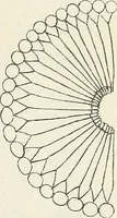 An illustration from The lady's assistant for executing useful and fancy designs in knitting, netting and crochet work... (1847)