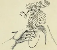 An illustration from The lady's assistant for executing useful and fancy designs in knitting, netting and crochet work... (1847)