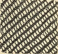 An illustration from The lady's assistant for executing useful and fancy designs in knitting, netting and crochet work... (1847)