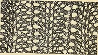 An illustration from The lady's assistant for executing useful and fancy designs in knitting, netting and crochet work... (1847)