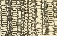 An illustration from The lady's assistant for executing useful and fancy designs in knitting, netting and crochet work... (1847)