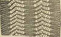 An illustration from The lady's assistant for executing useful and fancy designs in knitting, netting and crochet work... (1847)
