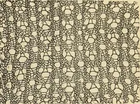 An illustration from The lady's assistant for executing useful and fancy designs in knitting, netting and crochet work... (1847)