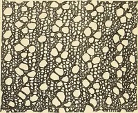 An illustration from The lady's assistant for executing useful and fancy designs in knitting, netting and crochet work... (1847)