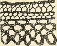 Picture 21 of 51 from The lady's assistant for executing useful and fancy designs in knitting, netting and crochet work... (1847), leaf 553