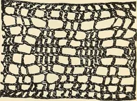 An illustration from The lady's assistant for executing useful and fancy designs in knitting, netting and crochet work... (1847)