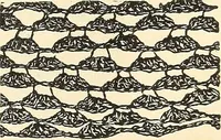 An illustration from The lady's assistant for executing useful and fancy designs in knitting, netting and crochet work... (1847)
