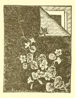 Picture 9 of 17 from A lady's book on art embroidery in silk, with engraved patterns (1886), leaf 47