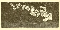 Picture 12 of 17 from A lady's book on art embroidery in silk, with engraved patterns (1886), leaf 58