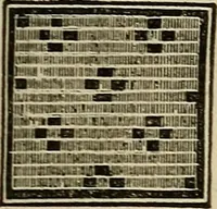 An illustration from The lady's manual of fancy work : a complete instructor in every variety of ornamental needle-work : including applique... (1859)