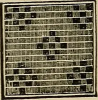 An illustration from The lady's manual of fancy work : a complete instructor in every variety of ornamental needle-work : including applique... (1859)