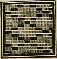 An illustration from The lady's manual of fancy work : a complete instructor in every variety of ornamental needle-work : including applique... (1859)