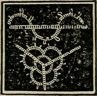 An illustration from The lady's manual of fancy work : a complete instructor in every variety of ornamental needle-work : including applique... (1859)
