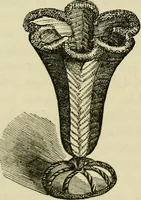 An illustration from The lady's manual of fancy work : a complete instructor in every variety of ornamental needle-work : including applique... (1859)
