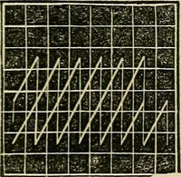 An illustration from The lady's manual of fancy work : a complete instructor in every variety of ornamental needle-work : including applique... (1859)