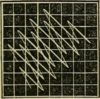 An illustration from The lady's manual of fancy work : a complete instructor in every variety of ornamental needle-work : including applique... (1859)