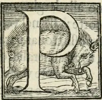 An illustration from La entrata che fece in Vinegia l'illvstrissimo et eccellentissimo s. dvca Alfonso II. Estense, dvca V. di Ferrara (1562)