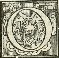 An illustration from La entrata che fece in Vinegia l'illvstrissimo et eccellentissimo s. dvca Alfonso II. Estense, dvca V. di Ferrara (1562)
