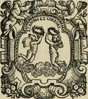 An illustration from La entrata che fece in Vinegia l'illvstrissimo et eccellentissimo s. dvca Alfonso II. Estense, dvca V. di Ferrara (1562)