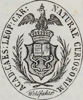 Picture 2 of 10 from La esistenza e spiritualità dell' anima distinta dallo spirito sensitivo prodotto del meccanismo organico contro i materialisti fatta rilevare in più fasi di mesmerica lucidità mediante una trentina di pubbliche gratuite accademie offerte dal mesmerista prof: (1855), leaf 10