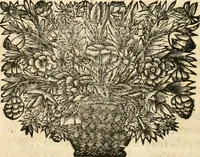 An illustration from La estrella de Lima convertida en sol sobre sus tres coronas, el b. Toribio Alfonso Mogrobexo, su segundo arzobispo: celebrado con epitalamios sacros y solemnes cultos, por su esposa la Santa Iglesia Metropolitana de Lima , al activo y soberano influxo del exmo. e illmo. señor doct. d. Melchor de Liñan y Cisneros ... : descripcion sacro politica de las grandezas de la ciudad de Lima, y compendio historico eclesiastico de su Santa Iglesia Metropolitana (1688)