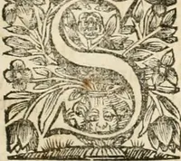 An illustration from La estrella de Lima convertida en sol sobre sus tres coronas, el b. Toribio Alfonso Mogrobexo, su segundo arzobispo: celebrado con epitalamios sacros y solemnes cultos, por su esposa la Santa Iglesia Metropolitana de Lima , al activo y soberano influxo del exmo. e illmo. señor doct. d. Melchor de Liñan y Cisneros ... : descripcion sacro politica de las grandezas de la ciudad de Lima, y compendio historico eclesiastico de su Santa Iglesia Metropolitana (1688)