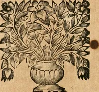 An illustration from La estrella de Lima convertida en sol sobre sus tres coronas, el b. Toribio Alfonso Mogrobexo, su segundo arzobispo: celebrado con epitalamios sacros y solemnes cultos, por su esposa la Santa Iglesia Metropolitana de Lima , al activo y soberano influxo del exmo. e illmo. señor doct. d. Melchor de Liñan y Cisneros ... : descripcion sacro politica de las grandezas de la ciudad de Lima, y compendio historico eclesiastico de su Santa Iglesia Metropolitana (1688)