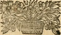An illustration from La estrella de Lima convertida en sol sobre sus tres coronas, el b. Toribio Alfonso Mogrobexo, su segundo arzobispo: celebrado con epitalamios sacros y solemnes cultos, por su esposa la Santa Iglesia Metropolitana de Lima , al activo y soberano influxo del exmo. e illmo. señor doct. d. Melchor de Liñan y Cisneros ... : descripcion sacro politica de las grandezas de la ciudad de Lima, y compendio historico eclesiastico de su Santa Iglesia Metropolitana (1688)