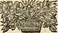 An illustration from La estrella de Lima convertida en sol sobre sus tres coronas, el b. Toribio Alfonso Mogrobexo, su segundo arzobispo: celebrado con epitalamios sacros y solemnes cultos, por su esposa la Santa Iglesia Metropolitana de Lima , al activo y soberano influxo del exmo. e illmo. señor doct. d. Melchor de Liñan y Cisneros ... : descripcion sacro politica de las grandezas de la ciudad de Lima, y compendio historico eclesiastico de su Santa Iglesia Metropolitana (1688)