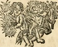 An illustration from La estrella de Lima convertida en sol sobre sus tres coronas, el b. Toribio Alfonso Mogrobexo, su segundo arzobispo: celebrado con epitalamios sacros y solemnes cultos, por su esposa la Santa Iglesia Metropolitana de Lima , al activo y soberano influxo del exmo. e illmo. señor doct. d. Melchor de Liñan y Cisneros ... : descripcion sacro politica de las grandezas de la ciudad de Lima, y compendio historico eclesiastico de su Santa Iglesia Metropolitana (1688)