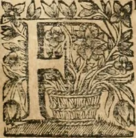An illustration from La estrella de Lima convertida en sol sobre sus tres coronas, el b. Toribio Alfonso Mogrobexo, su segundo arzobispo: celebrado con epitalamios sacros y solemnes cultos, por su esposa la Santa Iglesia Metropolitana de Lima , al activo y soberano influxo del exmo. e illmo. señor doct. d. Melchor de Liñan y Cisneros ... : descripcion sacro politica de las grandezas de la ciudad de Lima, y compendio historico eclesiastico de su Santa Iglesia Metropolitana (1688)