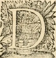 An illustration from La estrella de Lima convertida en sol sobre sus tres coronas, el b. Toribio Alfonso Mogrobexo, su segundo arzobispo: celebrado con epitalamios sacros y solemnes cultos, por su esposa la Santa Iglesia Metropolitana de Lima , al activo y soberano influxo del exmo. e illmo. señor doct. d. Melchor de Liñan y Cisneros ... : descripcion sacro politica de las grandezas de la ciudad de Lima, y compendio historico eclesiastico de su Santa Iglesia Metropolitana (1688)