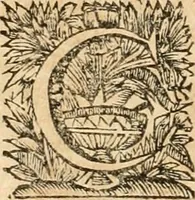 An illustration from La estrella de Lima convertida en sol sobre sus tres coronas, el b. Toribio Alfonso Mogrobexo, su segundo arzobispo: celebrado con epitalamios sacros y solemnes cultos, por su esposa la Santa Iglesia Metropolitana de Lima , al activo y soberano influxo del exmo. e illmo. señor doct. d. Melchor de Liñan y Cisneros ... : descripcion sacro politica de las grandezas de la ciudad de Lima, y compendio historico eclesiastico de su Santa Iglesia Metropolitana (1688)