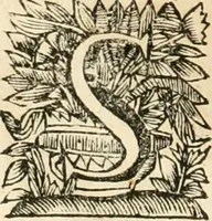 An illustration from La estrella de Lima convertida en sol sobre sus tres coronas, el b. Toribio Alfonso Mogrobexo, su segundo arzobispo: celebrado con epitalamios sacros y solemnes cultos, por su esposa la Santa Iglesia Metropolitana de Lima , al activo y soberano influxo del exmo. e illmo. señor doct. d. Melchor de Liñan y Cisneros ... : descripcion sacro politica de las grandezas de la ciudad de Lima, y compendio historico eclesiastico de su Santa Iglesia Metropolitana (1688)